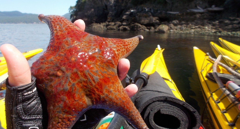 outdoor adventure kayaking for adults 